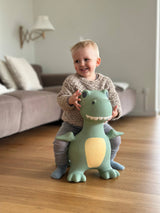 Bouncing Friend - Dinosaur