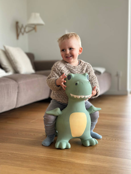 Bouncing Friend - Dinosaur