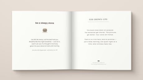 The Sleepy Stone: A Calming Bedtime Story for Busy Little Bodies