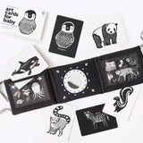 Baby Tummy Time Gallery Gift Set with Contrast Flash Cards