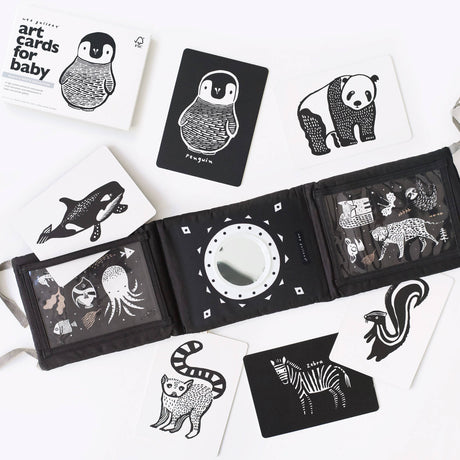 Baby Tummy Time Gallery Gift Set with Contrast Flash Cards