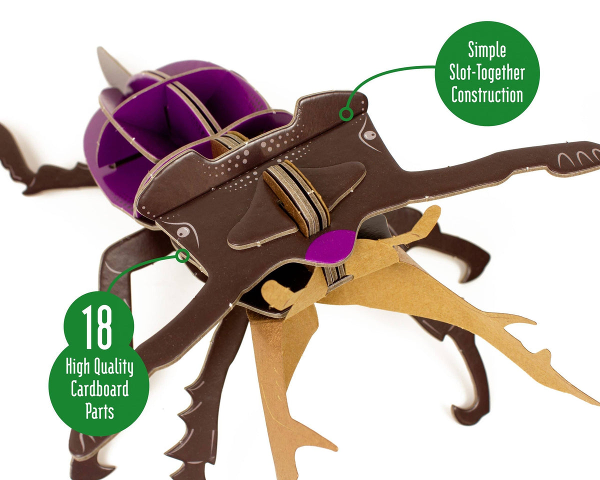 Build Your Own Stag Beetle - Eco-Friendly Craft Kit