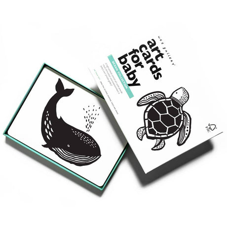 Art Cards for Baby - Ocean Animals - Infant Flash Cards