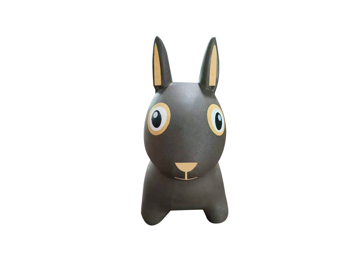 Bouncing Friend - Rabbit