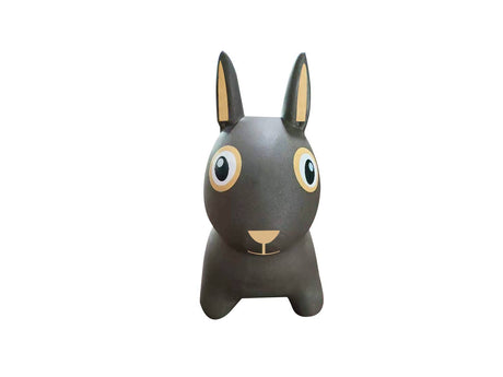 Bouncing Friend - Rabbit