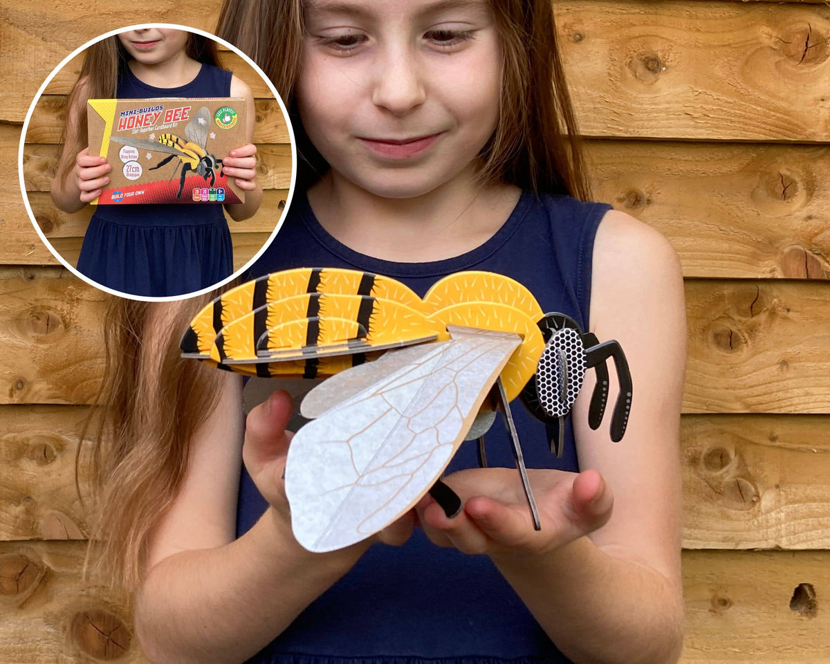 Build Your Own Honey Bee - Eco-Friendly Cardboard Craft Kit