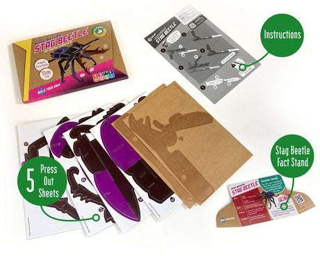 Build Your Own Stag Beetle - Eco-Friendly Craft Kit