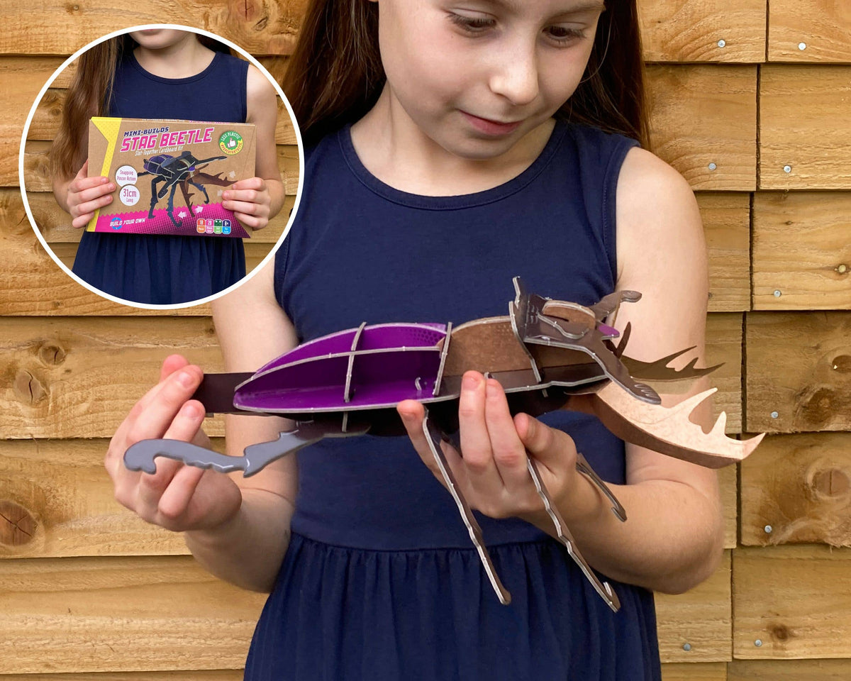 Build Your Own Stag Beetle - Eco-Friendly Craft Kit
