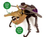 Build Your Own Stag Beetle - Eco-Friendly Craft Kit