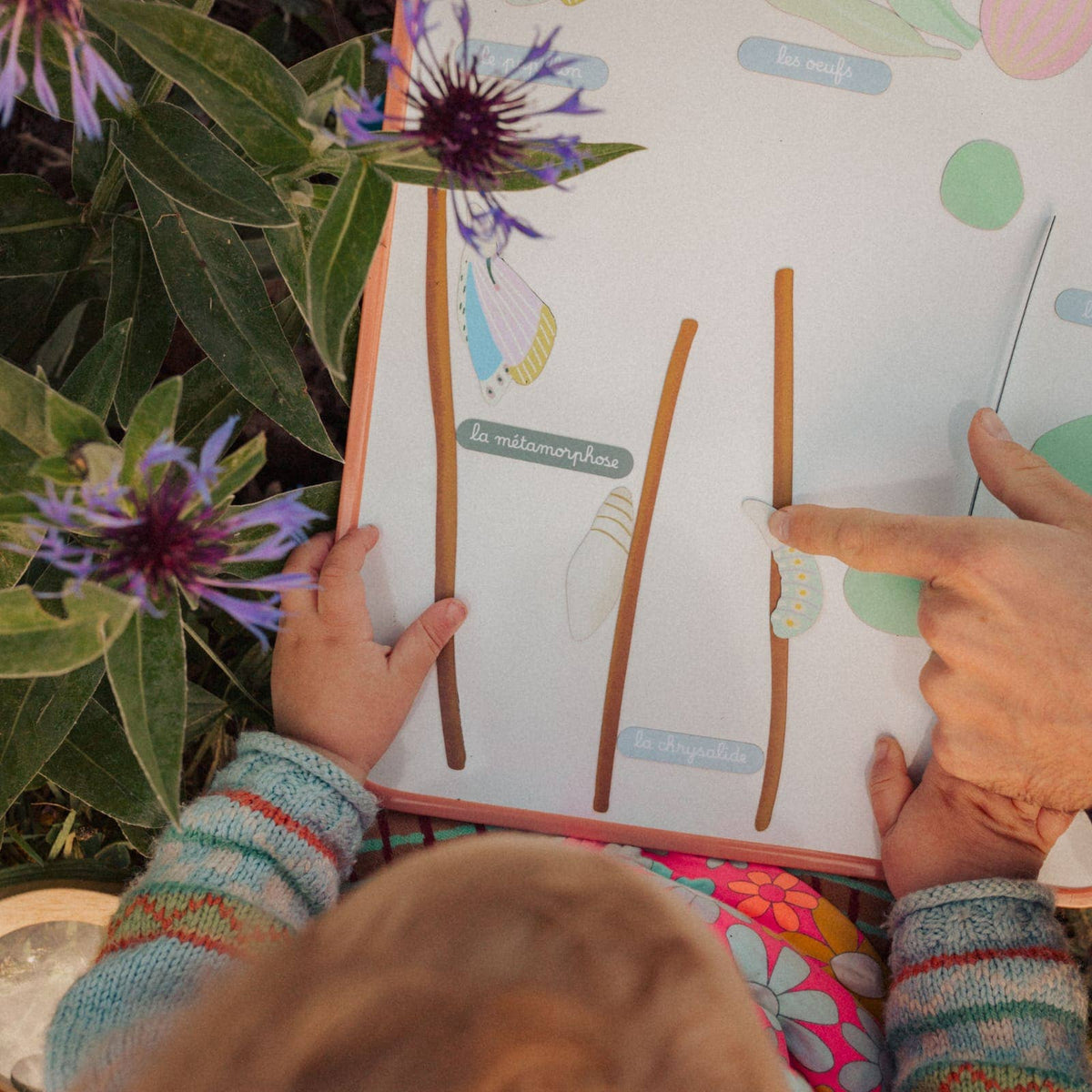 The Butterfly Cycle magnetic game