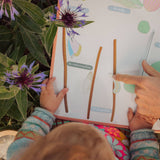 The Butterfly Cycle magnetic game