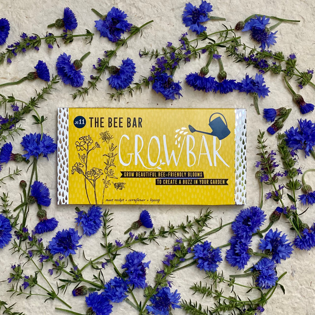 A yellow Growbar package labelled "The Bee Bar" surrounded by vibrant blue cornflowers, designed to grow bee-friendly blooms.