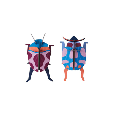 Insects Small - Coccinelle Couple Beetle