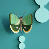 Insects Small - Fern Striped Butterfly