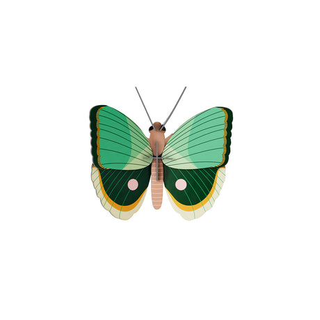 Insects Small - Fern Striped Butterfly