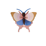 Insect Set - Gold Rim Butterflies