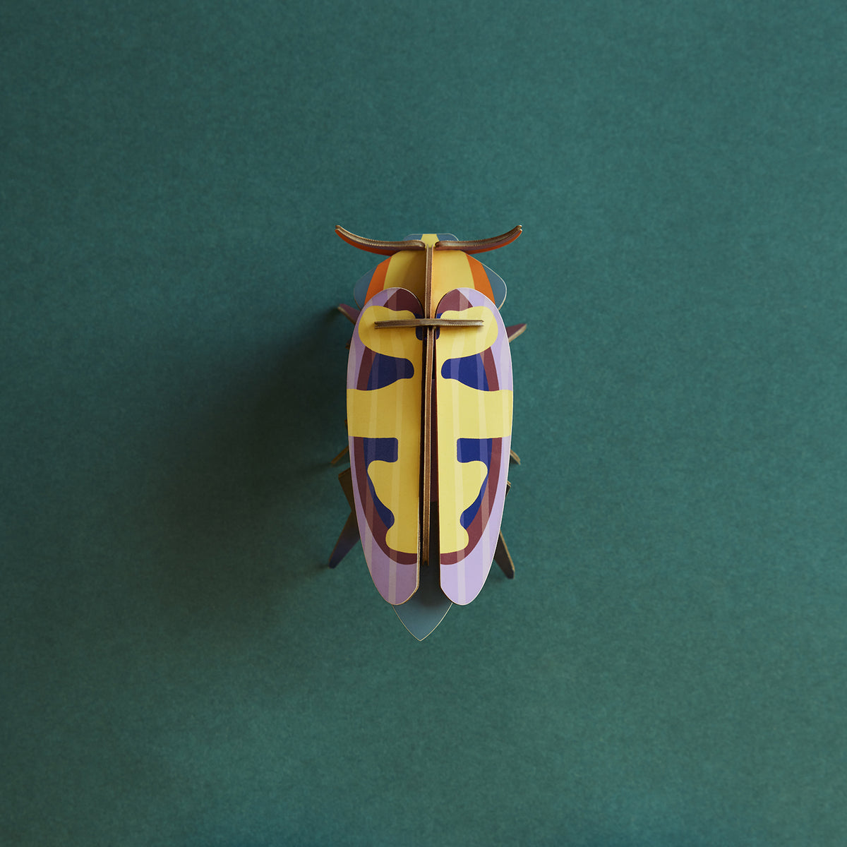 Insects Small - Mango Flower Beetle
