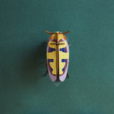 Insects Small - Mango Flower Beetle