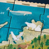 Close-up of Arctic animals, including polar bears and a snowy owl.