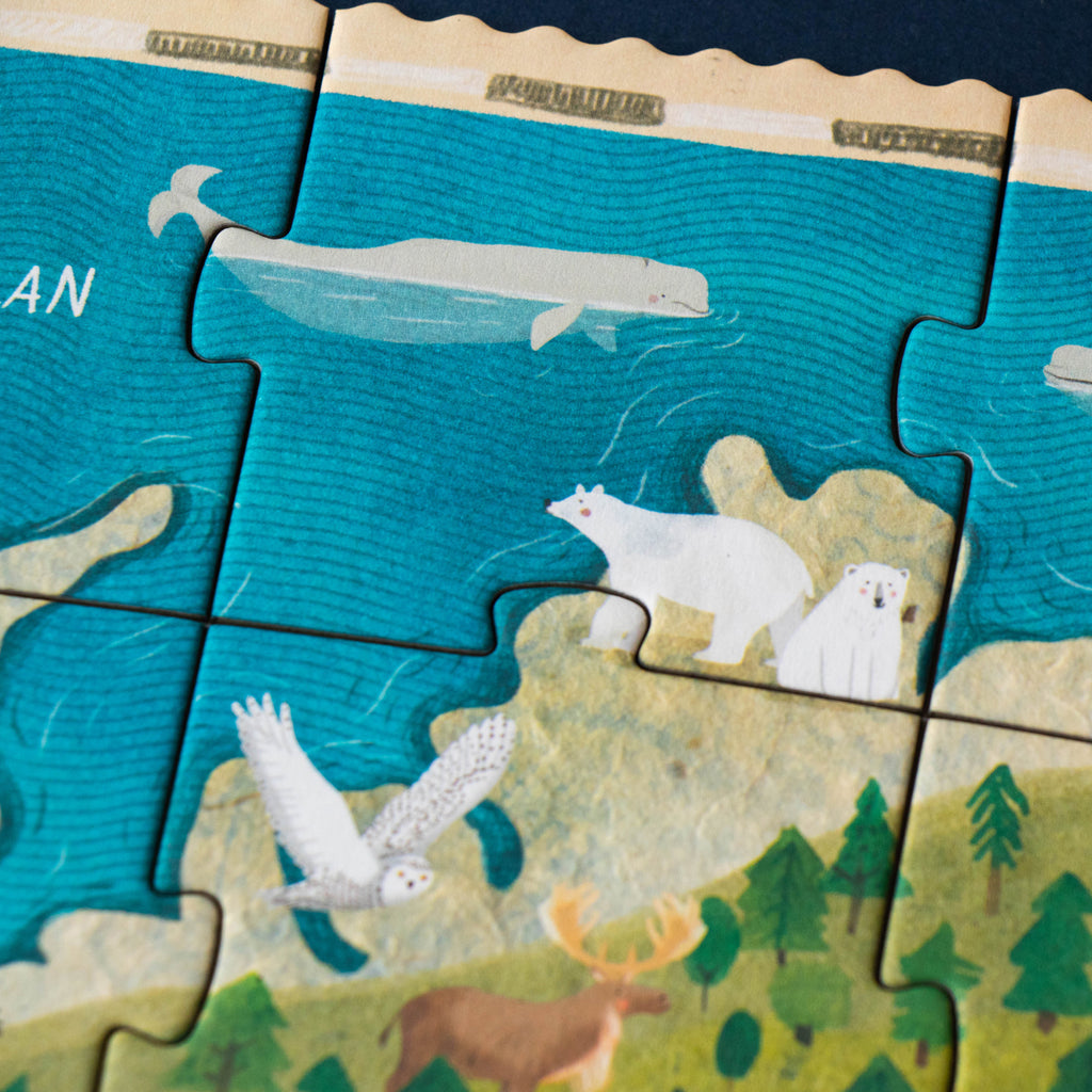 Close-up of Arctic animals, including polar bears and a snowy owl.