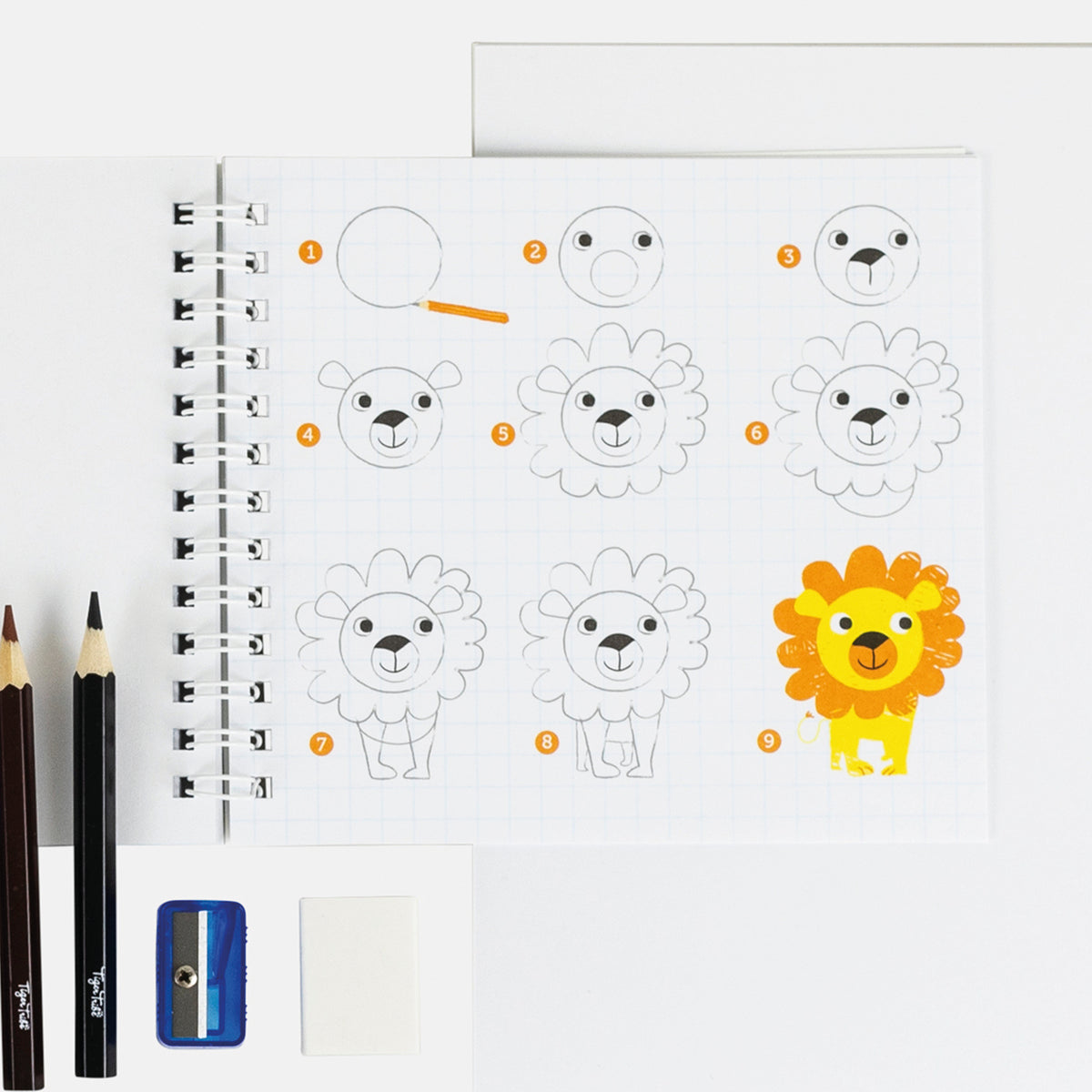 How To Draw Animals