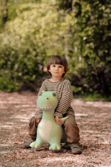 Bouncing Friend - Dinosaur
