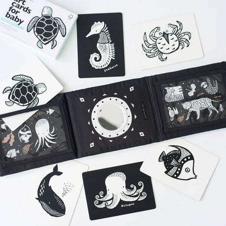 Baby Tummy Time Gallery Gift Set with Contrast Flash Cards