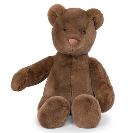 A soft, brown plush teddy bear with small black eyes and a light brown nose sitting against a white background.