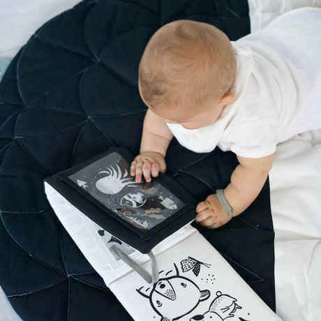 Baby Tummy Time Gallery Gift Set with Contrast Flash Cards