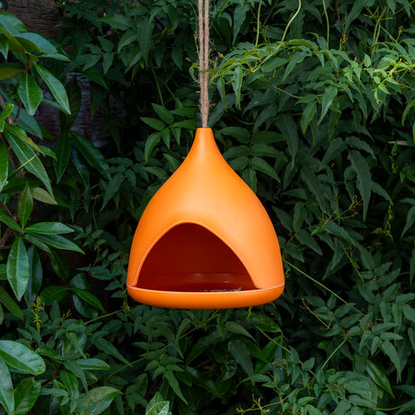 Modern orange bamboo fibre bird feeder hanging from a twine rope against a lush green leafy garden background.