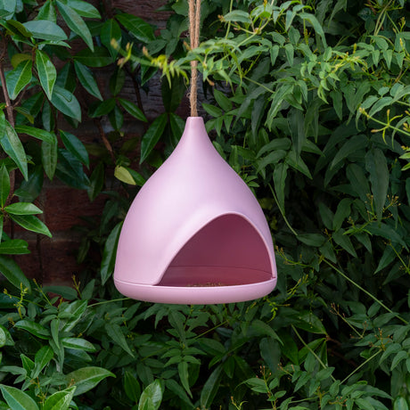Modern pink bamboo fibre hanging bird feeder in a lush green garden setting.