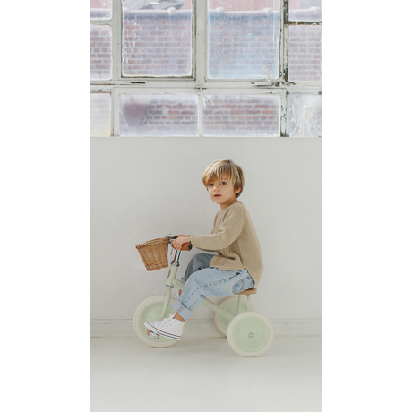Banwood Trike -Pale Mint