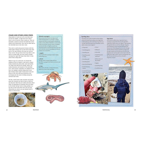 Open book spread detailing beach scavenger hunts, animal scavengers, hag stones, and intertidal wildlife.