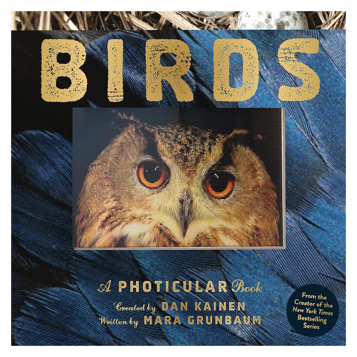 Front cover of Birds: A Photicular Book featuring a close-up of an owl's face with striking orange eyes on blue feathers.