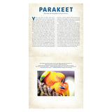 A page from a Photicular book about Parakeets featuring educational text and a vibrant photo of two sun conures.
