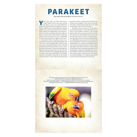 A page from a Photicular book about Parakeets featuring educational text and a vibrant photo of two sun conures.