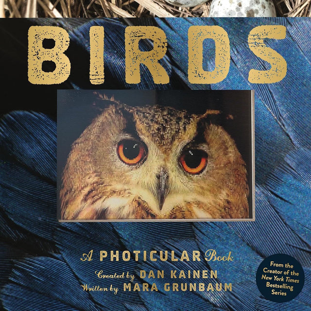 Close-up of an owl with striking orange eyes on a book cover titled "BIRDS." Background features textured blue feathers. Tone is captivating and mysterious.