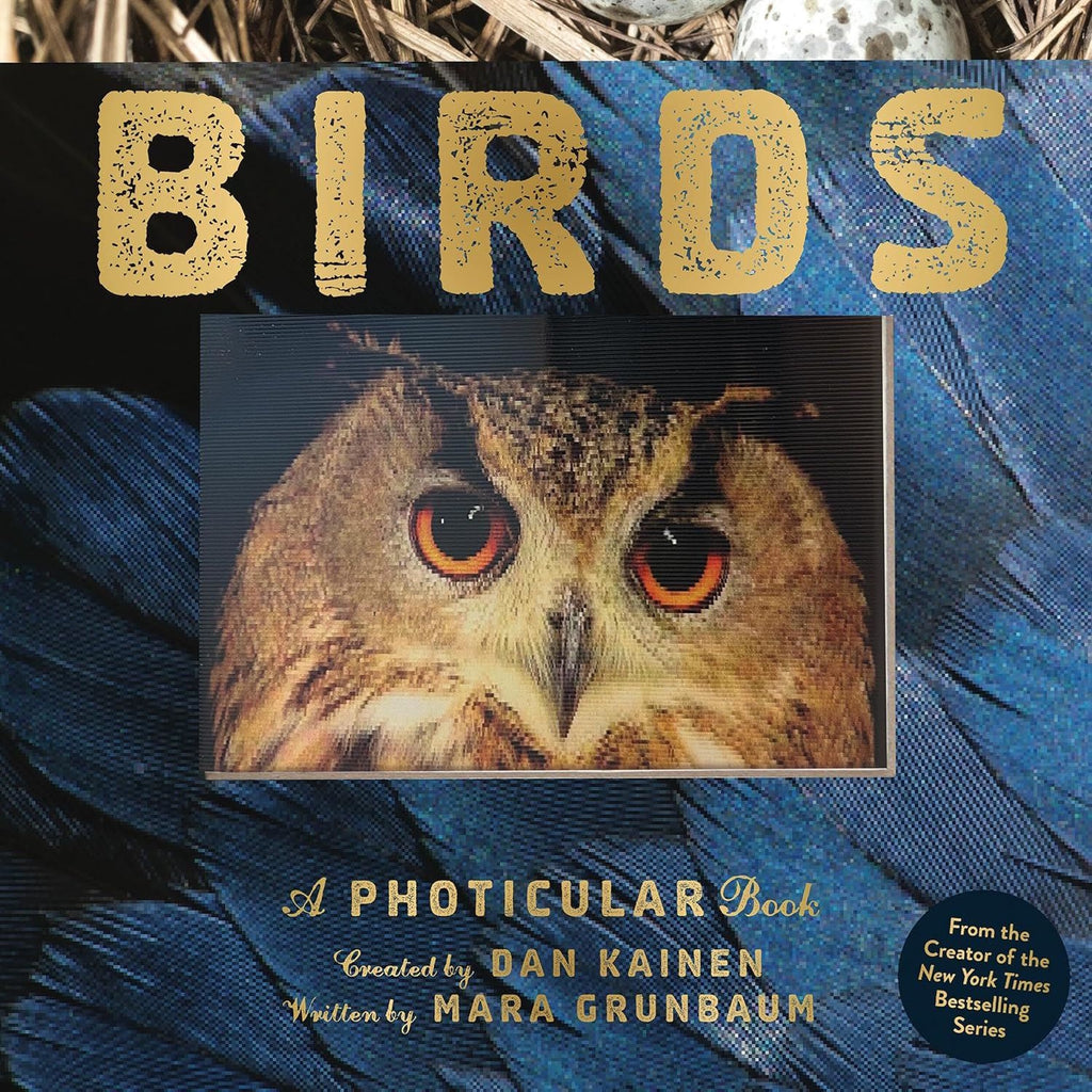 Close-up of an owl with striking orange eyes on a book cover titled "BIRDS." Background features textured blue feathers. Tone is captivating and mysterious.