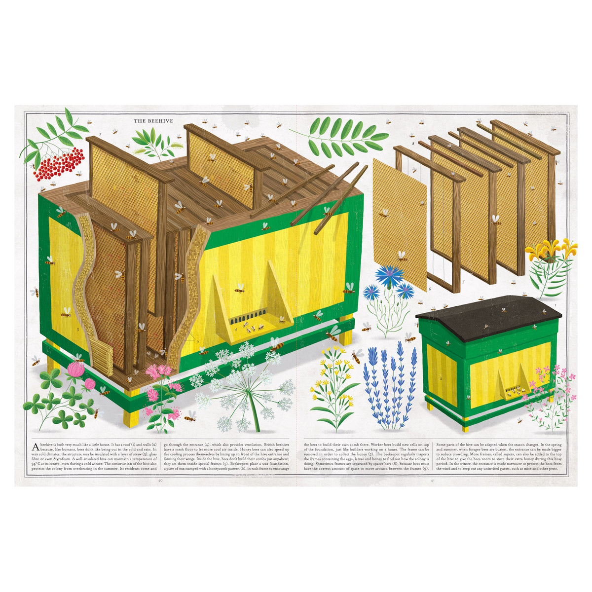 Illustration of a beehive, with labels and parts like honeycomb panels and flowers around it. Bees are flying, indicating a lively and buzzing atmosphere.