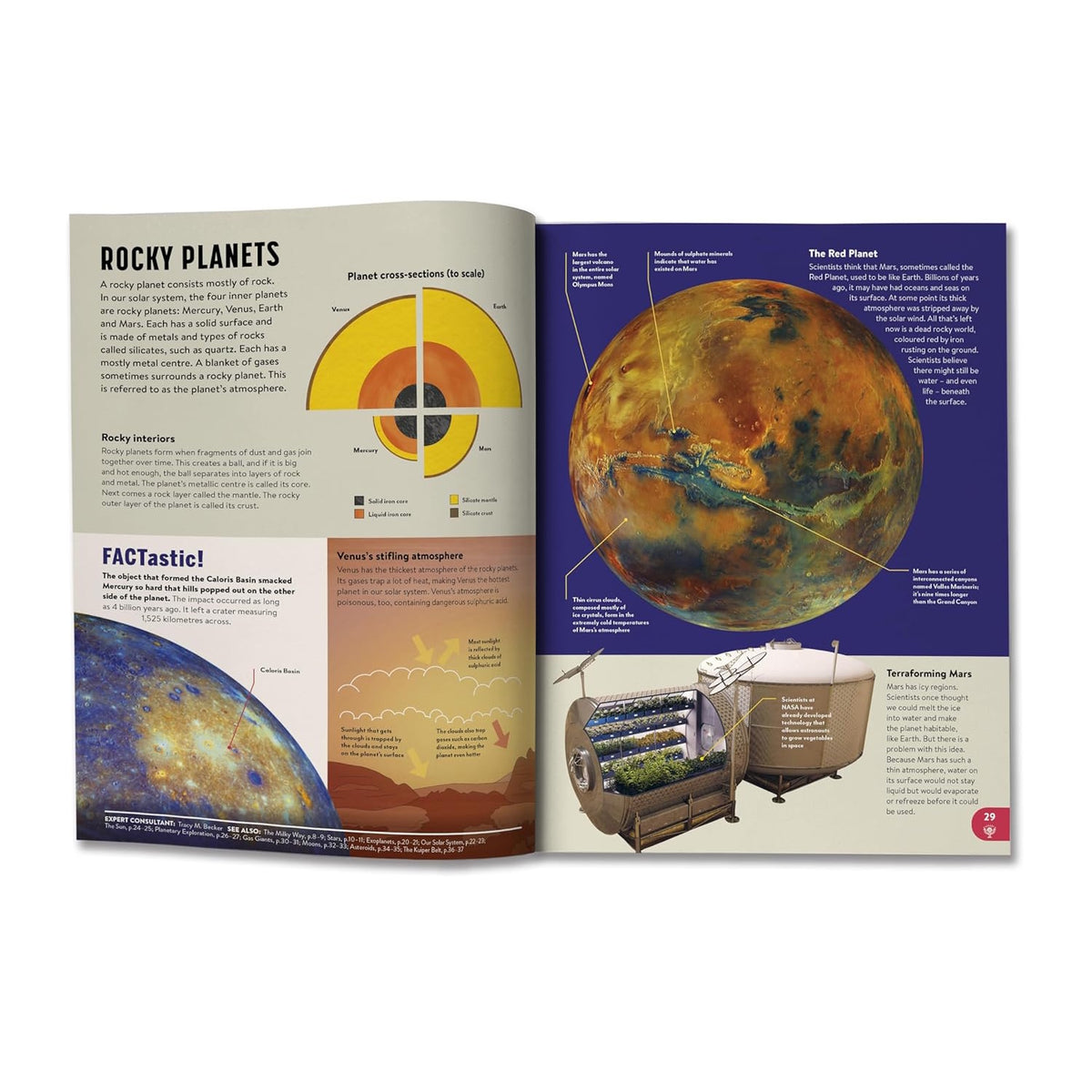 *Wonky* Britannica All New Children's Encyclopedia