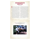 A bombardier beetle on a branch with a defensive chemical spray, accompanied by educational text about the insect.