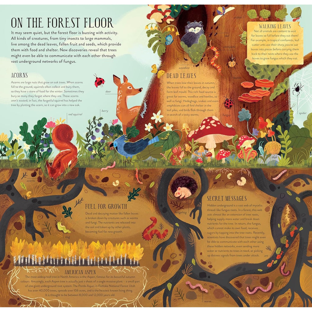 An interactive activity book with press-out pieces to build a 3D tree, complete with animals and leaves, encouraging hands-on, imaginative play.