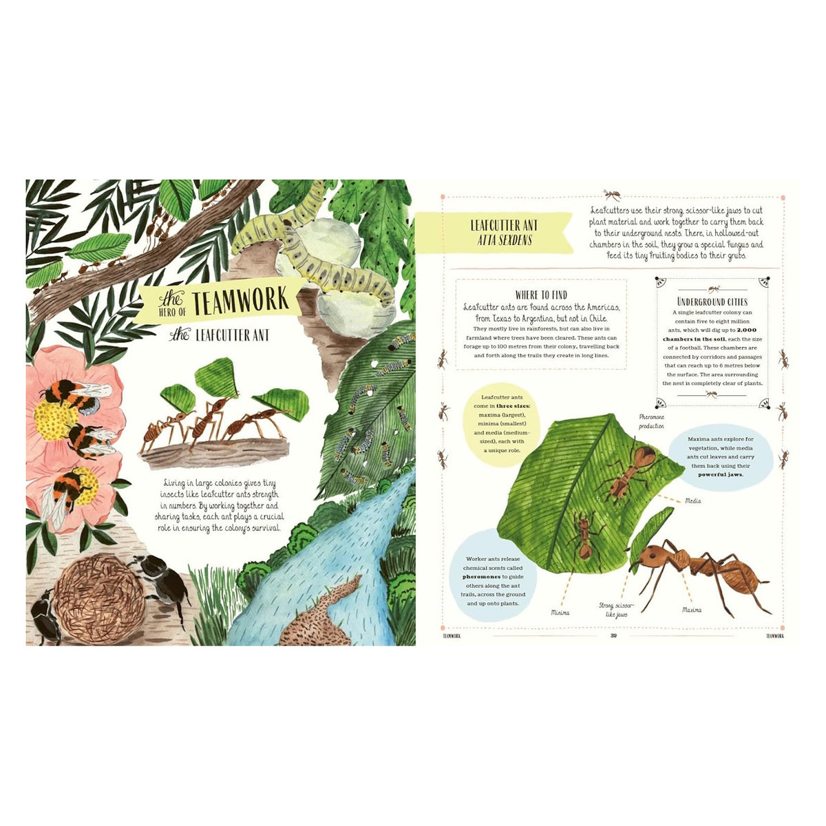 Book spread about the Leafcutter Ant featuring rainforest illustrations and facts about colony teamwork and underground nests.