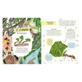 Book spread about the Leafcutter Ant featuring rainforest illustrations and facts about colony teamwork and underground nests.