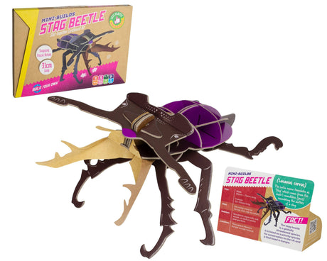 Build Your Own Stag Beetle - Eco-Friendly Craft Kit