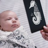 Art Cards for Baby - Ocean Animals - Infant Flash Cards