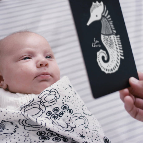 Art Cards for Baby - Ocean Animals - Infant Flash Cards