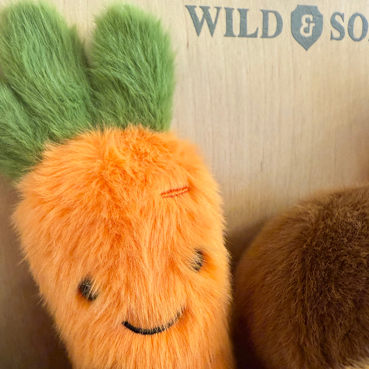 Wild & Soft Garden Friends - Carrot