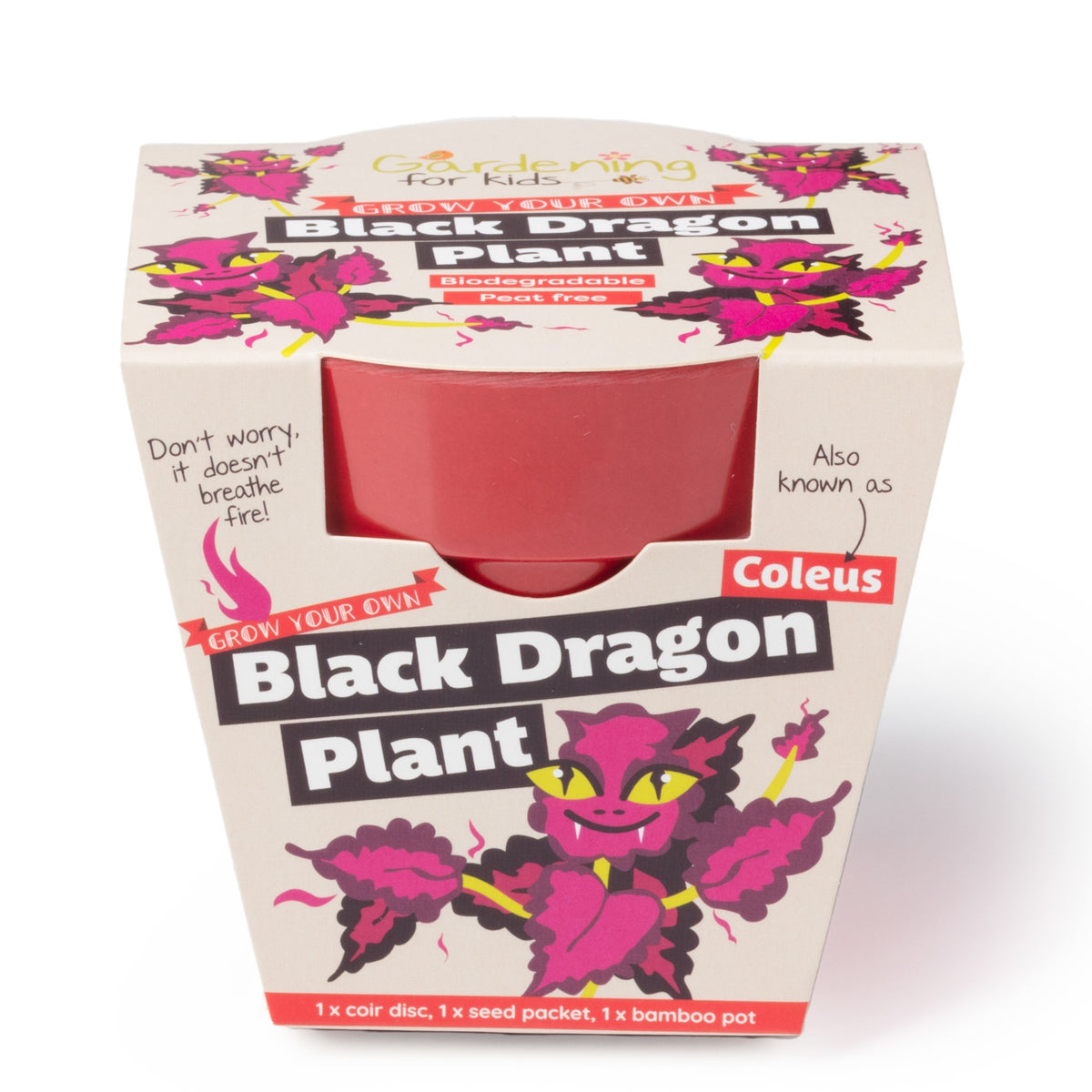 Packaging for a "Grow Your Own Black Dragon Plant" kit featuring a red bamboo pot inside.