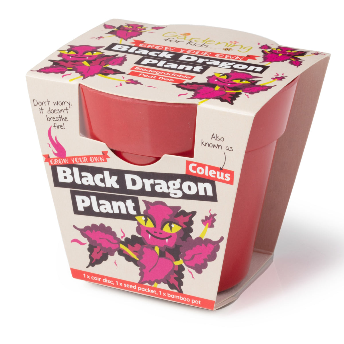 A red bamboo plant pot inside a children's "Grow Your Own Black Dragon Plant" cardboard sleeve.